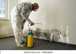 Best Comprehensive Air Testing for Mold Contaminants in Berlin, OH